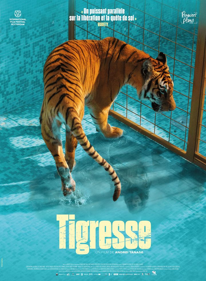 Affiche du film "Tigresse" d'Andrei Tănase, sortie le 7 août 2024. (CONDOR DISTRIBUTION)