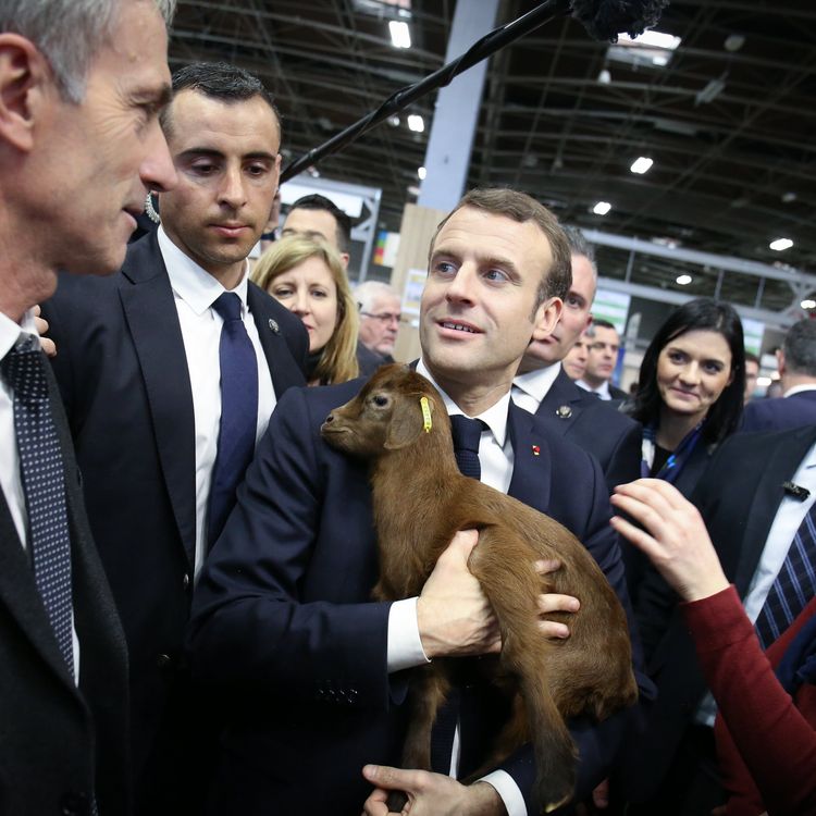 Salon De L Agriculture Comment Les Presidents Ont Transforme La Plus Grande Ferme De France En Operation De Communication Politique