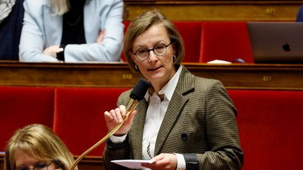 La députée Stella Dupont s'exprime à l'Assemblée nationale, à Paris, le 2 octobre 2024. (LUDOVIC MARIN / AFP)