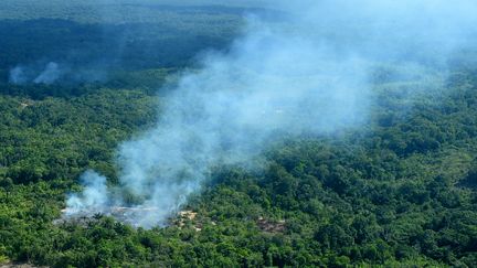 La fumée s'élève de la forêt amazonienne, le 21 août 2019, à Sao Gabriel de Cachoeira, au Brésil. (CHICO BATATA / DPA / AFP)