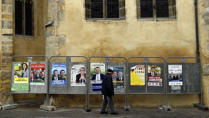 Des panneaux électoraux à Nancy (Meurthe-et-Moselle), le 2 décembre 2015. (MAXPPP)