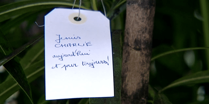 L'actualité s'invite sur le Wish Tree du Centre Pompidou-Metz
 (France 3 culturebox)