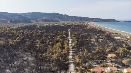 La végétation brûlée par un incendie à Evia, en Grèce, le 13 août 2021. (NICOLAS ECONOMOU / NURPHOTO / AFP)