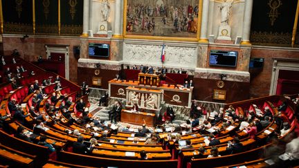 La séance de questions au gouvernement du 16 novembre 2021 à l'Assemblée nationale. (CHRISTOPHE MICHEL / HANS LUCAS / AFP)