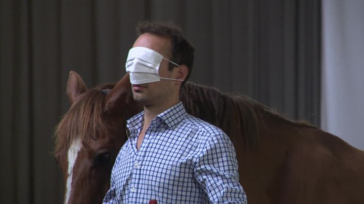 Les stagiaires apprennent à faire confiance à leur cheval. Une qualité qu'ils pourront transposer à leurs relations avec leurs collorateurs en entreprise. (France 3 Normandie)