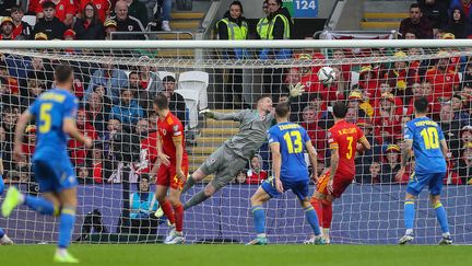 Le gardien gallois Wayne Hennessey, décisif contre le pays de Galles, le 5 juin 2022. (GEOFF CADDICK / AFP)