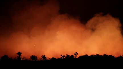 Un feu dans la forêt amazonienne, photographié le 17 août près de la ville d'Humaita (Brésil). (UESLEI MARCELINO / REUTERS)