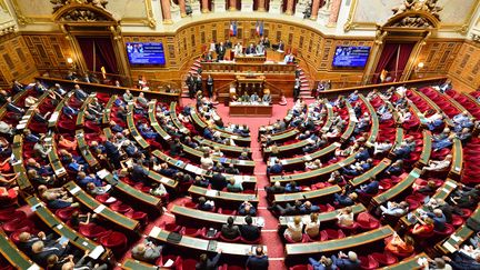 Une séance hebdomadaire de questions au gouvernement, au Sénat à Paris, le 23 juillet 2019. (DANIEL PIER / NURPHOTO / AFP)