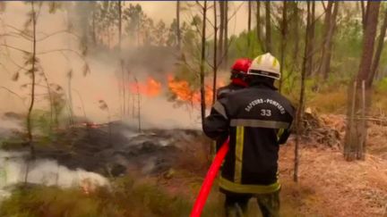 Incendies en Gironde :&nbsp;1 000 pompiers&nbsp;mobilisés durant la nuit pour lutter contre les flammes (France 2)