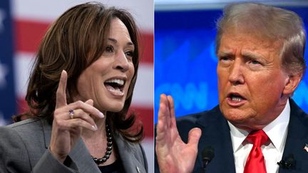 Montage photo réalisé le 3 août 2024, montrant les candidats démocrate et républicain pour la Maison Blanche, Kamala Harris et Donald Trump. (BRENDAN SMIALOWSKI,ANDREW CABALLERO-REYNOLDS / AFP)