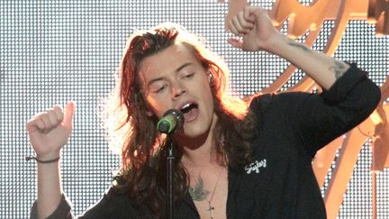 Harry Styles lors d'un concert de One Direction à Los Angeles (4 décembre 2015)
 (Byron Purvis / AdMedia / MaxPPP)