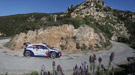 Thierry Neuville sur les routes corses (FRANCOIS FLAMAND / DPPI MEDIA)