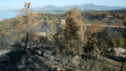 Le Pradet, au sud-est de Toulon,&nbsp;lors des incendies&nbsp;dans le Var le 30 août&nbsp;2005. (MAXPPP)