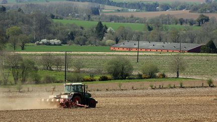 &nbsp; (Agriculture française, quelles sont les raisons d'espérer ? - photo prétexte © Maxppp)