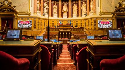 L'hémicycle du Sénat au Palais du Luxembourg, à Paris. (Jean-François Fernandez / Radio France)