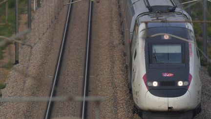 La liaison se fera à grande vitesse, une première dans l'histoire du rail entre les deux pays. (JEAN-FRANCOIS MONIER / AFP)