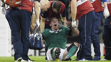 FRANCE-IRLANDE. Le capitaine irlandais Paul O'Connell hurle de douleur après une blessure aux ischios-jambiers, le&nbsp;11 octobre 2015. Evacué sur civière et fin de carrière internationale.&nbsp; (REBECCA NADEN / REUTERS)