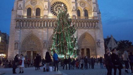 Le sapin de No&euml;l install&eacute; sur le parvis de Notre Dame, &agrave; Paris, en 2013. (  MAXPPP)