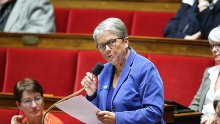 Catherine Coutelle, députée de la Vienne, lors des questions au gouvernement à Paris, le 8 novembre 2016. (MAXPPP)