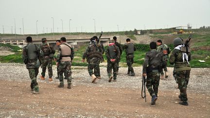 Des combattants kurdes, pr&egrave;s de la ville d'Erbil en Irak, le 12 f&eacute;vrier 2015.&nbsp; (SIVAN SIDDIK / ANADOLU AGENCY / AFP)