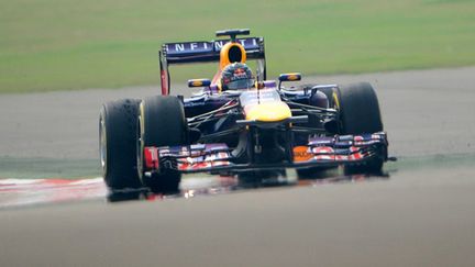 Sebastian Vettel (Red Bull - Renault) au sommet (MANAN VATSYAYANA / AFP)