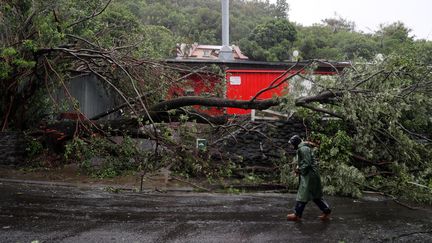 Les dégâts&nbsp;du cyclone Batsirai à Saint-Denis de La Réunion (La Réunion), le 3 février 2022. (RICHARD BOUHET / AFP)