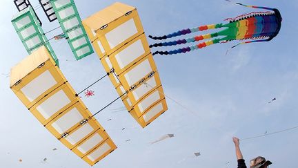 Comme tous les ans depuis 1981, dans la province de Ravenne, se tient sur les plages de Cervia, l’un des plus beaux spectacles colorés d’Italie : le festival annuel du cerf volant. Plus de 30 pays étaient représentés en 2015 avec plus de 1.000 créations exposées dans les airs.   (REUTERS / Alessandro Bianchi)