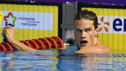 Yannick Agnel, le 30 mars 2016, lors des championnats de France de natation, à Montpellier. (PASCAL GUYOT / AFP)