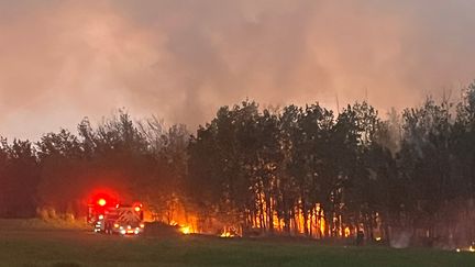 Incendie en pleine ville dans un grand boisé, à côté d'un hôtel dans le sud-ouest de l'état d'Alberta, où logeaient les journalistes de Radio Canada, évacués en urgence. (JEAN-SEBASTIEN CLOUTIER / RADIO CANADA)