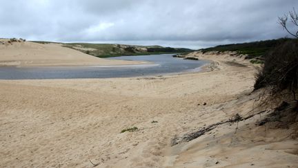 La réserve naturelle du courant d’Huchet (Landes). (MAXPPP)