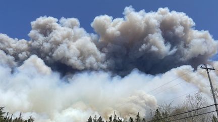 Le Canada fait face à d'immenses feux de forêts. (HANDOUT / NOVA SCOTIA GOVERNMENT)