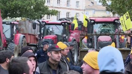 Colère des agriculteurs : vive émotion après la mort d'une femme sur un barrage (France 2)