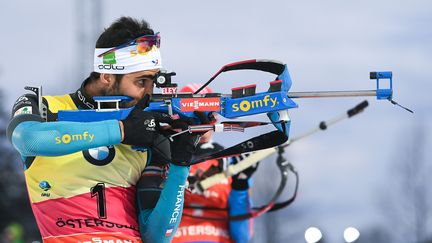 Martin Fourcade  (ALEXANDER VILF / SPUTNIK)