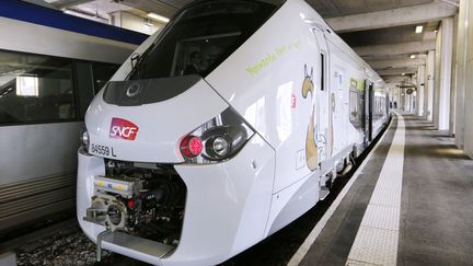 Une des rames TER Regio 2N de Bombardier, pr&eacute;sent&eacute;e le 29 avril 2014 &agrave; la gare Vaugirard, &agrave; Paris. (FRANCOIS GUILLOT / AFP)