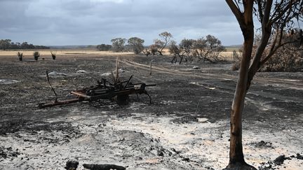 Un paysage dévasté par les incendies en Australie. (PETER PARKS / AFP)