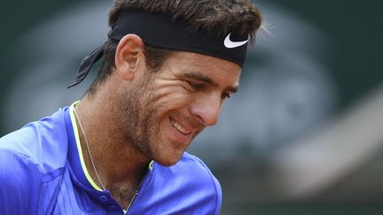 L'Argentin Juan Martin Del Potro (FRANCOIS XAVIER MARIT / AFP)