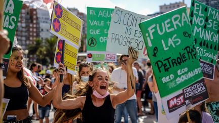 Des manifestants défilent contre un projet d'exploitation pétrolière, le 4 janvier 2022 à Mar del Plata (Argentine). (DIEGO IZQUIERDO / TELAM / AFP)