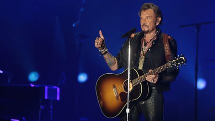 &nbsp; (Johnny Hallyday en concert à Biarritz, le 18 juillet 2015 © MaxPPP)