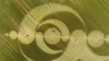 Un cercle de culture (ou crop circle)&nbsp;à Sarraltroff (Moselle)&nbsp; (France 3)