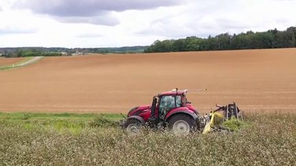 Ruralité : Agri-Echange, un réseau d'entraide entre agriculteurs