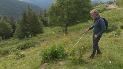 Cantal : randonnée au pays des volcans