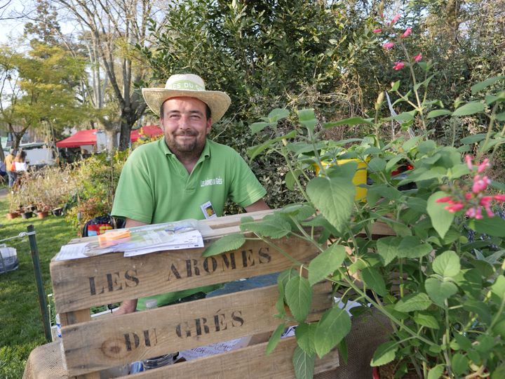 Alexandre Tramier is based in Orange, where he cultivates his collection of sages and many aromatic plants.   (ISABELLE MORAND / RADIO FRANCE / FRANCE INFO)