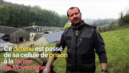 En Picardie, des groupes de prisonniers sont invités à travailler dans une ferme avant leur remise en liberté. La réinsertion en pleine nature semble efficace.