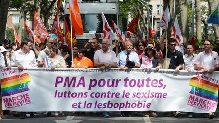 Une manifestation à Lyon, en juin 2013, en faveur de l'élargissement de la PMA. (PHILIPPE DESMAZES / AFP)