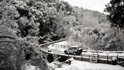 Près du village de Bocognano, non loin d'Ajaccio (Corse-du-Sud), le 15 janvier 2017. (MAXPPP)