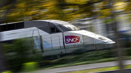 Un TGV à Nantes (Loire-Atlantique), le 8 novembre 2017. (LOIC VENANCE / AFP)