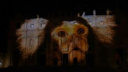 Pour la COP21, la nature s'affiche dans un son et lumière sur la basilique Saint-Pierre