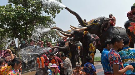 Festival des éléphants en Thaïlande