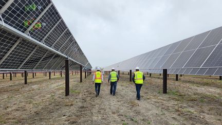 Des panneaux solaires installés dans le comté de Hill, au Texas (mars 2023). (SÉBASTIEN PAOUR / RADIOFRANCE)