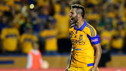 Gignac sous les couleurs des Tigres de Monterrey.